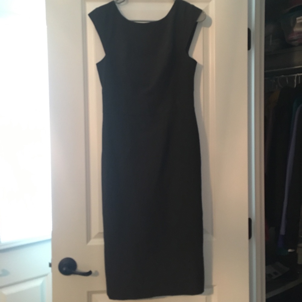 The Limited Collection Dress Size 2